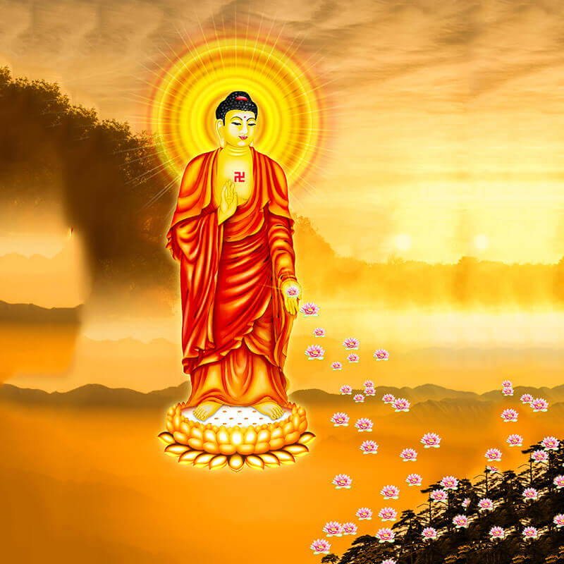 Phật A Di Đà 3237  TRANH TƯỢNG PHẬT GIÁO VIỆT DŨNG