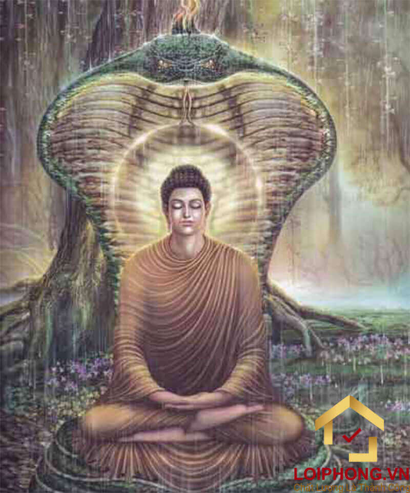Ảnh Phật Thích Ca Mâu Ni đẹp số 15