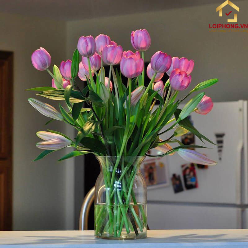 Hoa Tulip là loài hoa được nhiều người yêu thích