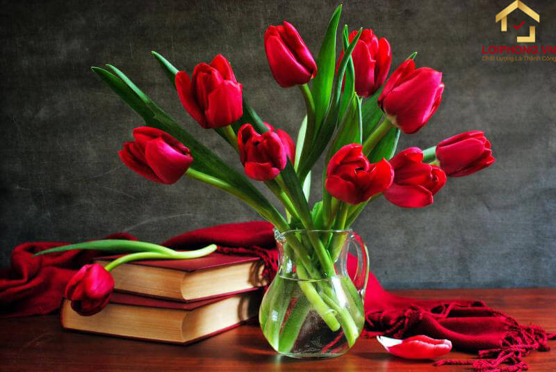Hoa Tulip tượng trưng cho tình yêu cháy bỏng