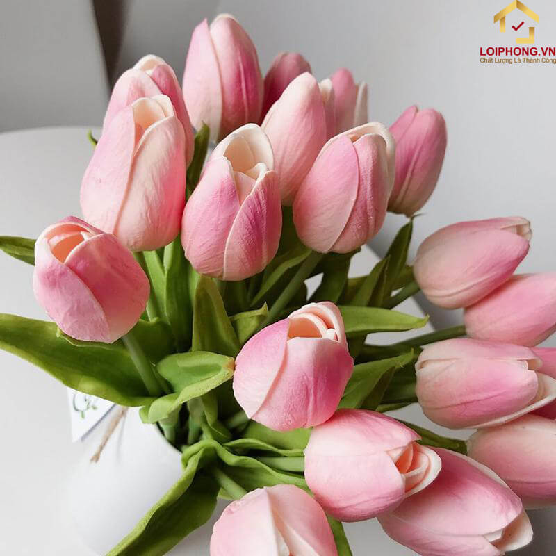Tulip hồng đại diện cho tình yêu