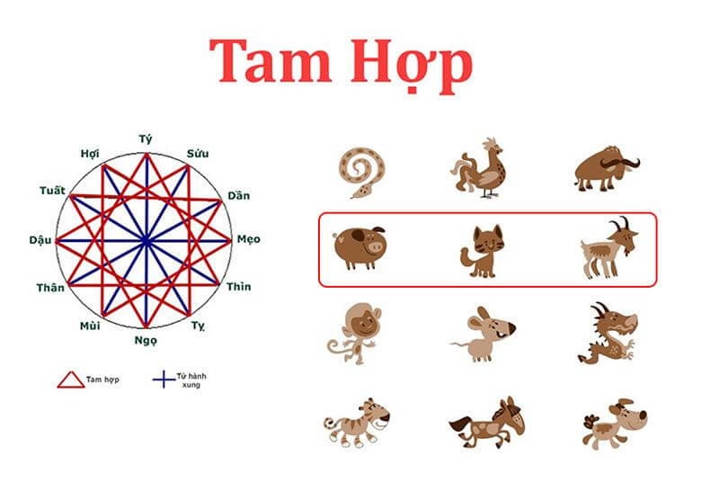 Tam hợp của tuổi Mùi là Mùi - Hợi - Mão